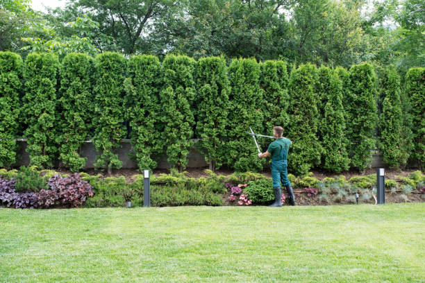 Leaf Removal in Georgetown, OH